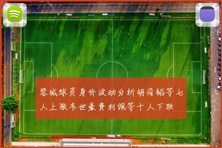 蓉城球员身价波动分析胡荷韬等七人上涨韦世豪费利佩等十人下跌