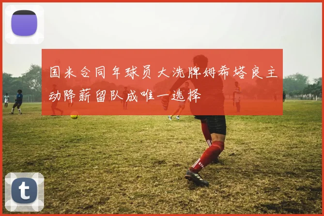 国米合同年球员大洗牌姆希塔良主动降薪留队成唯一选择